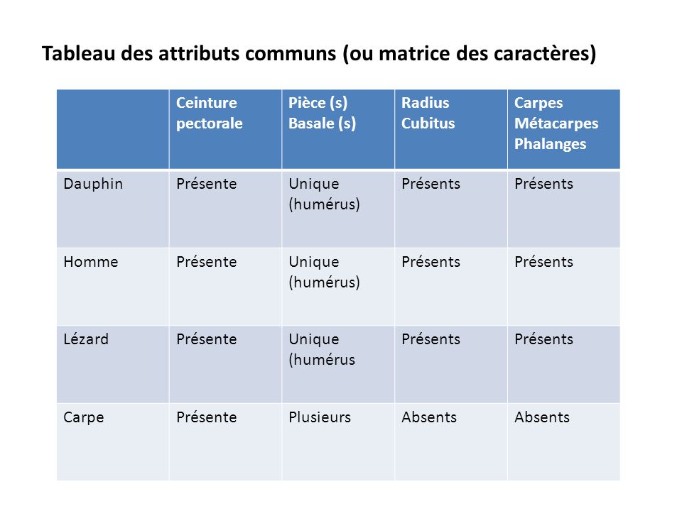 Tableau des attributs communs ou matrice des caract res ppt